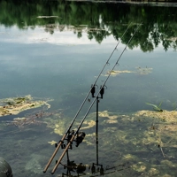 Nash Scope Ops Dark Cork Retractable Carp Rods